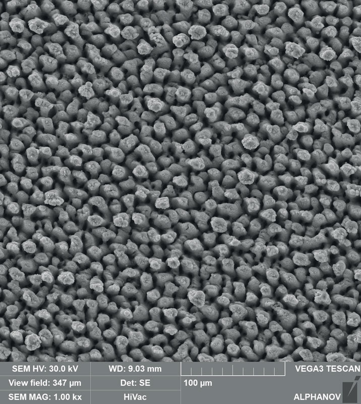 1. Esempi delle microlavorazioni sviluppate dalla società LASEA. Vista macro e microscopica del texturing per un effetto “nero profondo” (sopra); taglio e smussatura e incisione “bianca” per l’industria dell’orologiera (sotto). (©LASEA)