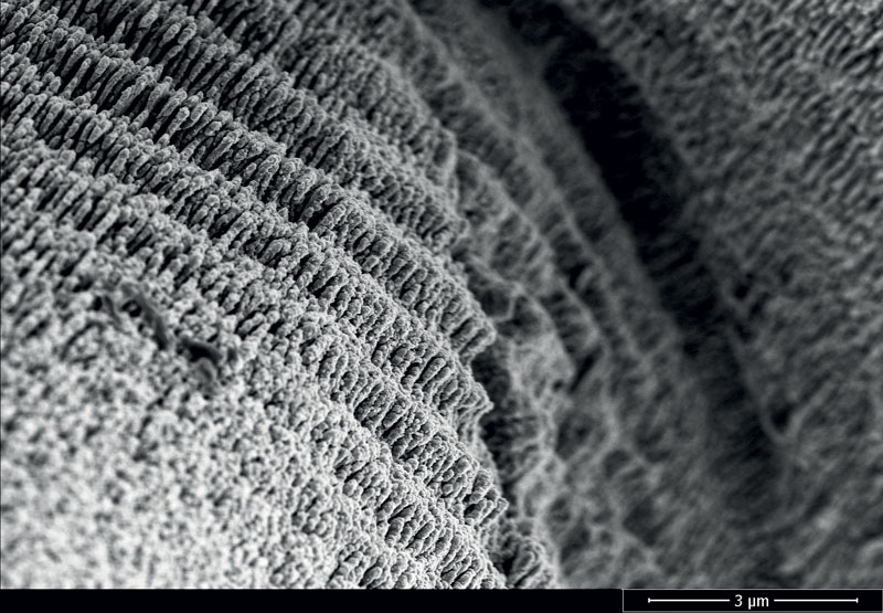 6. Esempio di strutture superficiali periodiche (LIPSS) realizzate con i laser Fluence su carbonio. (©Fluence)