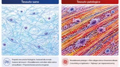 Fig 1. Confronto schematico tra tessuto sano e tessuto patologico. Nel tessuto sano, proprietà meccaniche fisiologiche e un rimodellamento controllato della matrice extracellulare contribuiscono alla normale funzione del tessuto. Nei tessuti patologici, come tumori e fibrosi, il rimodellamento della matrice, il cross-linking e l’allineamento delle fibre di collagene sono associati a un aumento della rigidità e ad alterazioni della funzione tissutale.