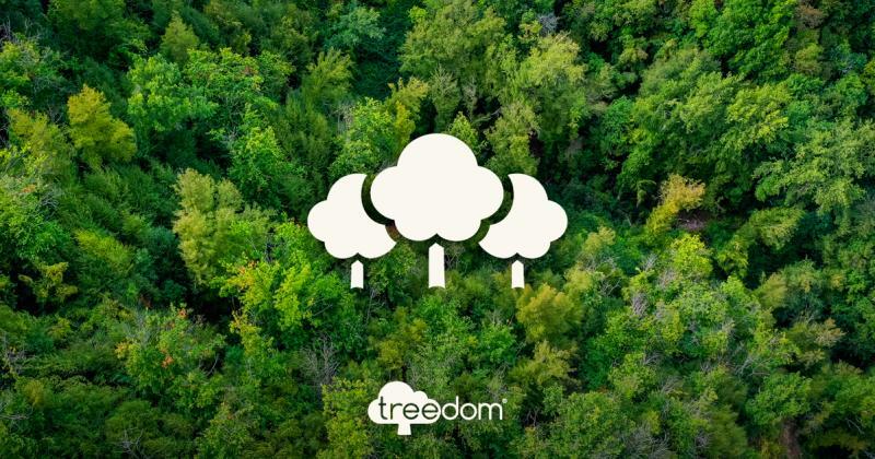 OTS Assembly ha creato una foresta attraverso il progetto Treedom.