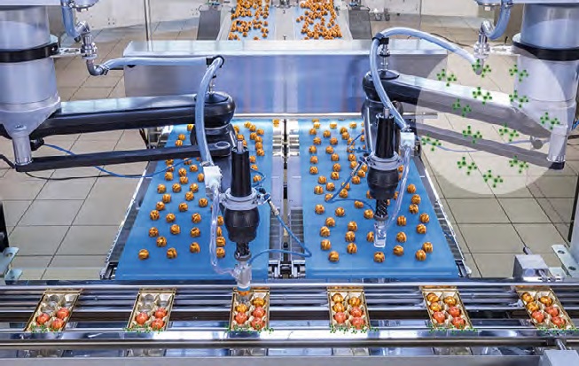 L’alimentare è uno dei settori in cui è più importante eseguire un’analisi tossicologica tanto del prodotto quanto della macchina che lo produce o lo confeziona.