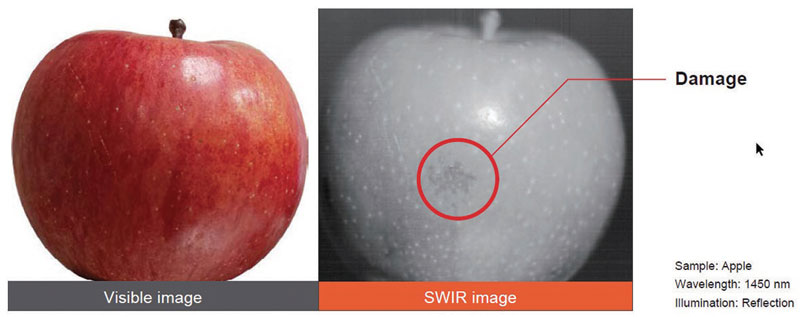 L’identificazione di un’ammaccatura su una mela.   3 12