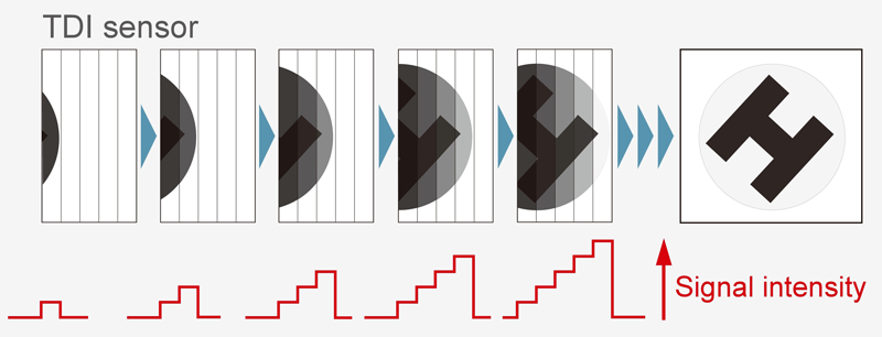 Figura 2: schema esemplificativo del meccanismo del time-delayed-integration (TDI).