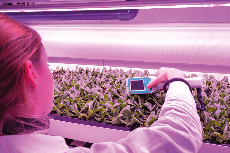 Urban Crop Solutions identifica i parametri ottimali per la crescita delle piante.