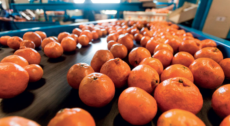 La richiesta di prodotti alimentari è destinata ad aumentare drasticamente nei prossimi decenni.