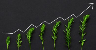 Le chiavi per la crescita secondo il ‘Libro Verde’